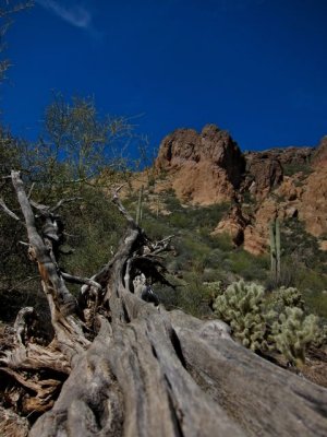 IMG_3443.jpg