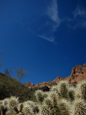 IMG_3444.jpg
