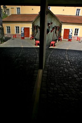 IMG_2220.jpg
