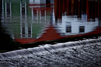 IMG_3173.jpg