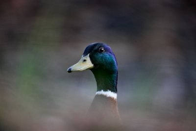 IMG_3504.jpg