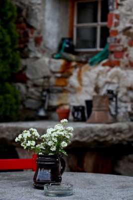 IMG_3519.jpg