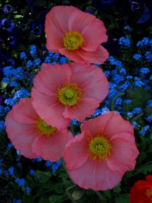 IMG_3856.jpg