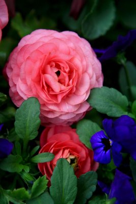 IMG_1884.jpg