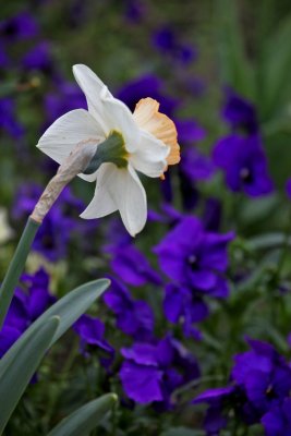 IMG_2863.jpg