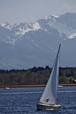 IMG_3037.jpg