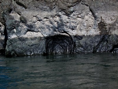 IMG_5328.jpg