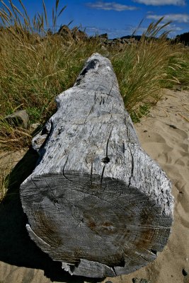 IMG_6925.jpg