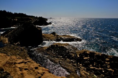 IMG_6959.jpg