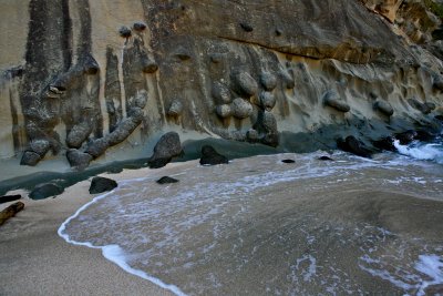 IMG_6995.jpg