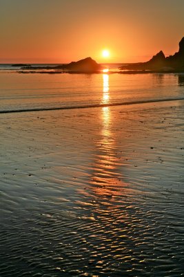 IMG_7023.jpg