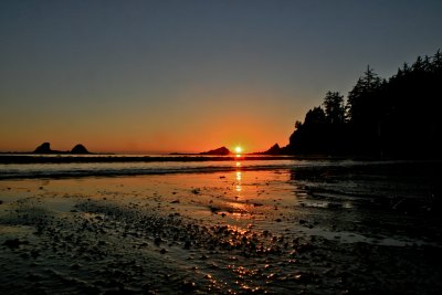 IMG_7029.jpg