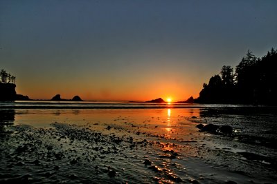 IMG_7031.jpg