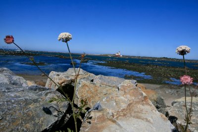 IMG_7058.jpg