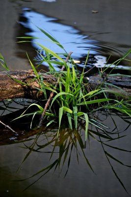 IMG_7240.jpg