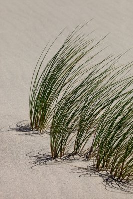 IMG_7288.jpg