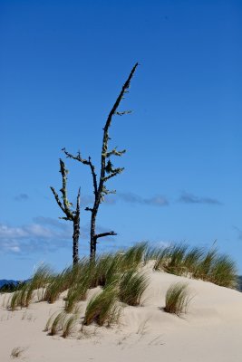 IMG_7292.jpg