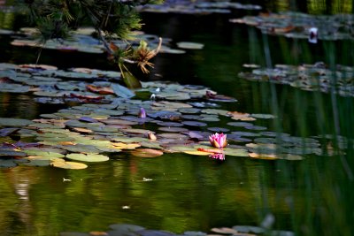 IMG_7399.jpg