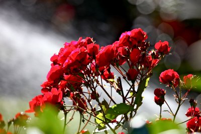IMG_7404.jpg
