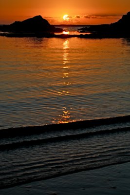 IMG_7466.jpg