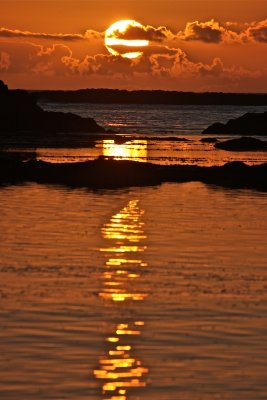IMG_7467.jpg