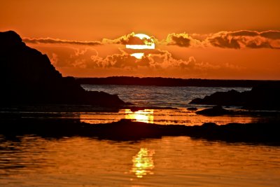 IMG_7469.jpg