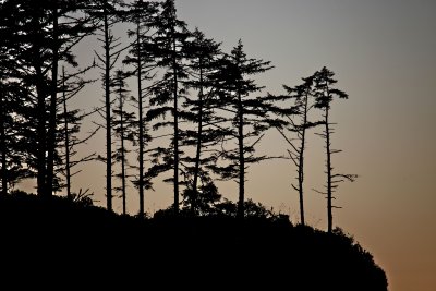 IMG_7507.jpg