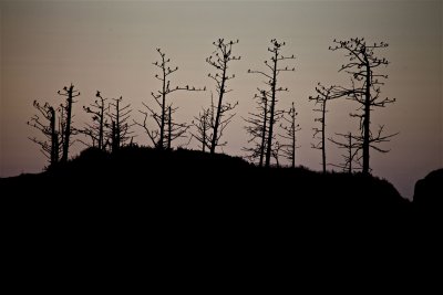 IMG_7508.jpg