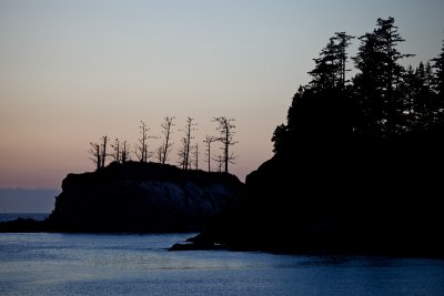 IMG_7509.jpg