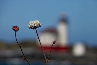 IMG_7543.jpg