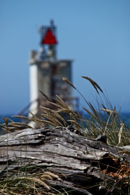 IMG_7547.jpg