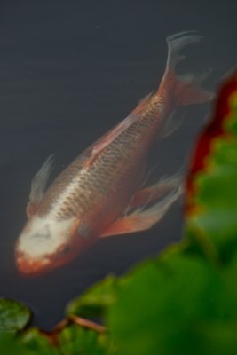 IMG_7667.jpg
