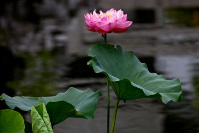 IMG_7675.jpg