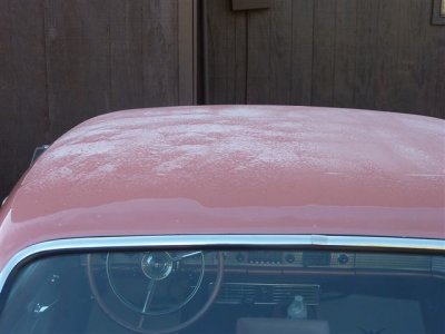 Frosty Thunderbird