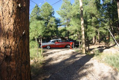 Classic in the Pines.jpg