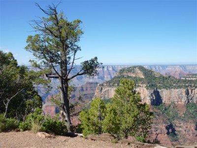 North Rim trip, Grand Canyon 7-15-11 039.jpg