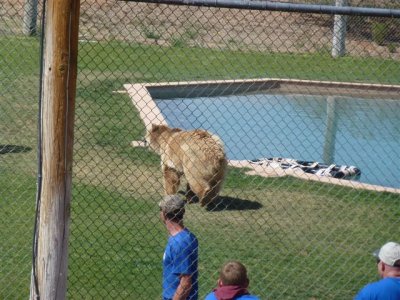 Out of Africa 5-12-2012 051.jpg