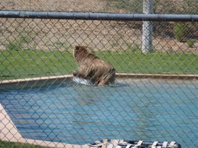 Out of Africa 5-12-2012 052.jpg