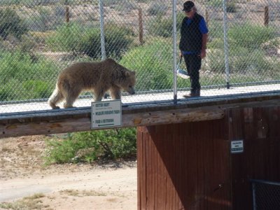 Out of Africa 5-12-2012 059.jpg