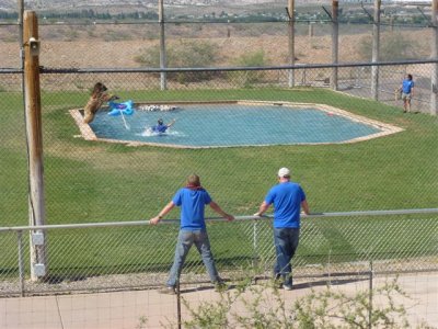 Out of Africa 5-12-2012 064.jpg