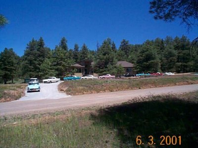 Cabin and Birds in Pines.jpg