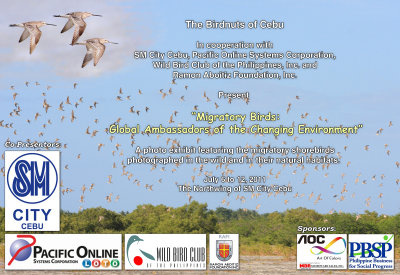 Migratory Bird Photo Exhibit - July 6 to 12, 2011