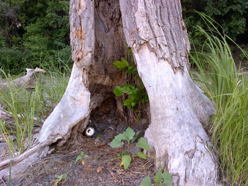 Ottawa-20120702-00024.jpg