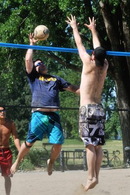 DSC_6781c.jpg