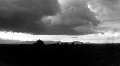 Southern Arizona - After the Storm - Black and White