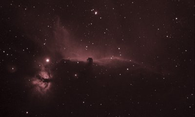 Horsehead and Flame H-alpha False Color