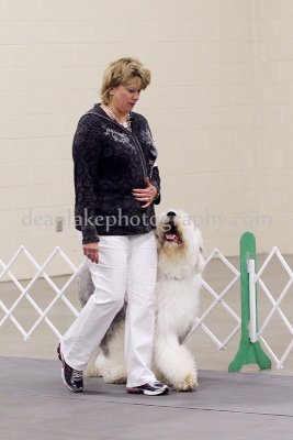 IMG_0113.jpg