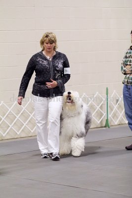 IMG_0121.jpg