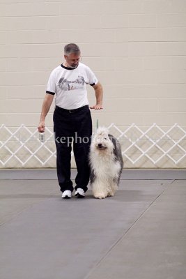 IMG_9238.jpg