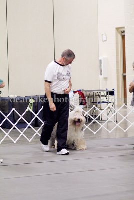 IMG_9273.jpg